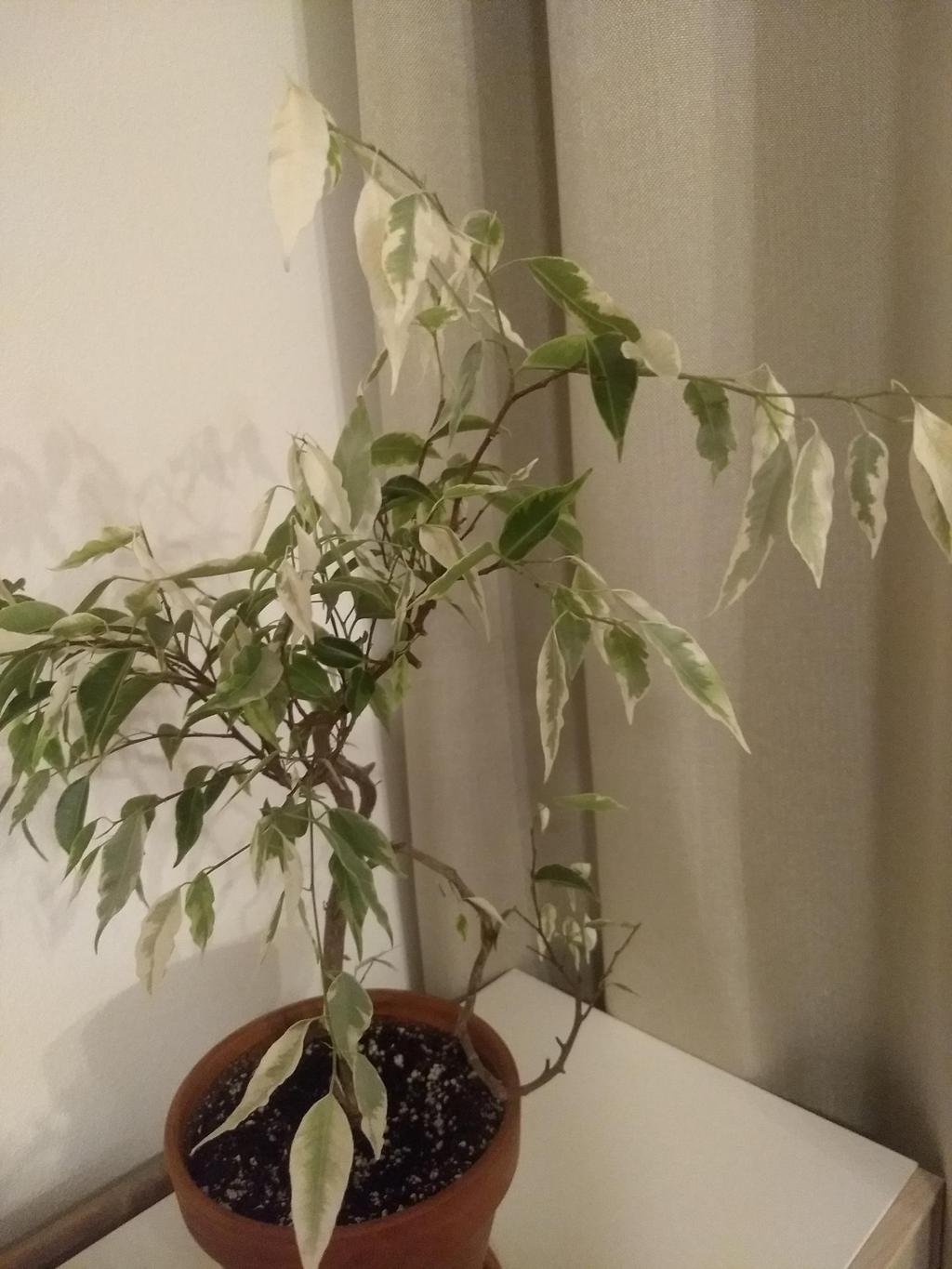 https://images.openai.com/static-rsc-4/PfL65DC0gd1k6gPC_LdofkanSffhApwT4Jm30nBhtAenPEiVirVPFi3ziJH8IbCzgwrqqNXRJllnYgtSy6FoSqWxS-6_l1xwKfyvPzInbg9At3idKkbxIW0R9CW-VNyaIIad4ygVVCpIgM41mNti12vIema1LxojoQWGGICBOo_Ooe5AfHNvOY_RdDhH6Fd0?purpose=fullsize