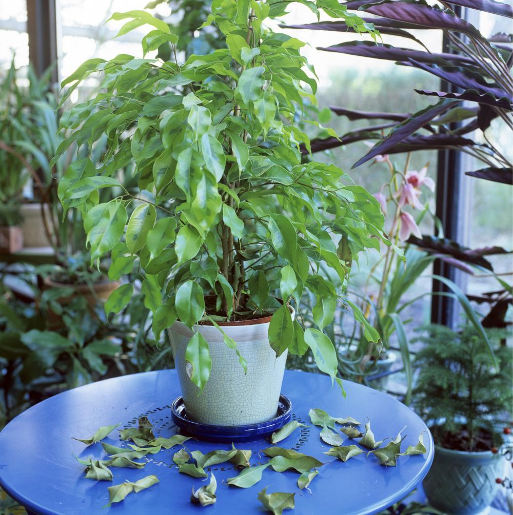 https://images.openai.com/static-rsc-4/iK2rE5luxTW4edyGfosb__KcrEVGn8XhFjHvPyeZ_y3zw4akJef4E3k02nwnHACmiEEv0OitqBqZOg1zs767Yryueca5BNJwered-eixXVxp4gpsNFKY636UkkJd46vjtf7VROmB1J-sj-pblFeof8nc3reRLeY7MTTcmthuywJJ7uKWJi53aPfQEfPlxdrz?purpose=fullsize