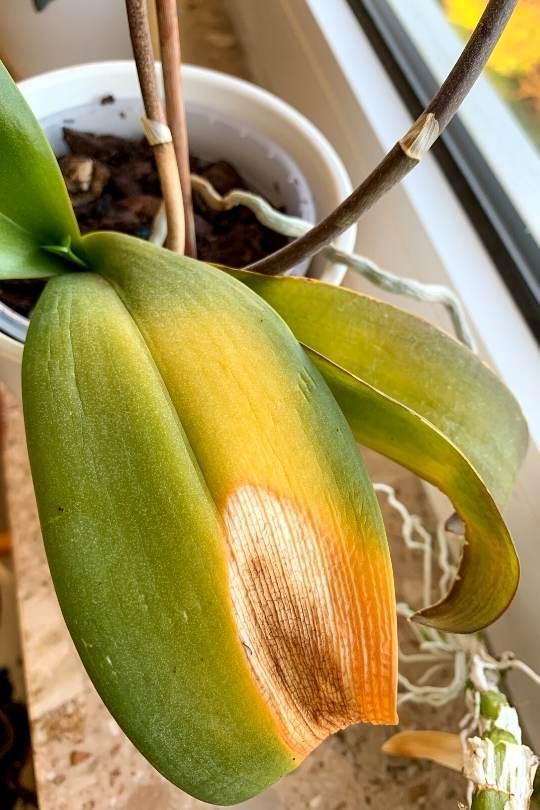 https://images.openai.com/static-rsc-4/93ka91TQXC3tZ5vYEeQUhfFj2bgSBEbIEGrQD0Dt9llAa48ewbl-Lurd_5yCAHUZ2ISQwmkF4HFRUCRRlhM22RJhopxKjKeKyUrDjdgW0-_vmBhRY2HfFWz8UqwqUKyyrfnJo3TwW3ewsmQFcN-aH1Rr9cZyEHNV4xCArEPSWESQWeyg4OGWDM8b2EFs6u-A?purpose=fullsize