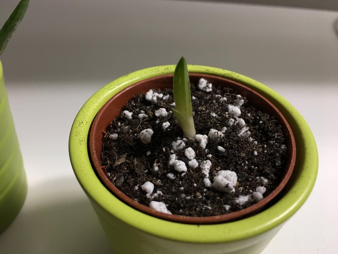 https://images.openai.com/static-rsc-4/fdLVE_lyVvO371SBc9HnAYeMFzeozgTTRe49yqwcOLFpyWpOO_WsKr0E_urnQA9g2sAlLeIJNSUuZnMGcVFHVf8bw40W_5Cv82z485nc3ZDzSNG7TIFIRVIvnAcSUsNVeFl_RdRip2MQ-T35gQP9zTmJ3S0GDxSlKIzK8y8Qi1CRSFTJsFCi8_zwxcMQFy-u?purpose=fullsize