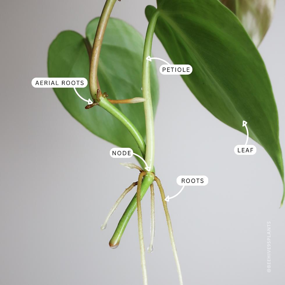 https://images.openai.com/static-rsc-4/IZ-tW7MYTQZ_aXoIjZXNbFAx8pnV9PB5p2MC0tL_-l_TH8xZ1AYUJy6xKkpDB6jWlvqCUI9pQe-zvqodJi3eMV92BVdU9-l8aDz54eRIrKo-s3AeXV91rZu7ewus0kpqI36Oo1edVmng7P6c0BcwYkowQeyCCjNjGnvcOcOFMuPfaEwBTSj4FggxhDeA9xvB?purpose=fullsize