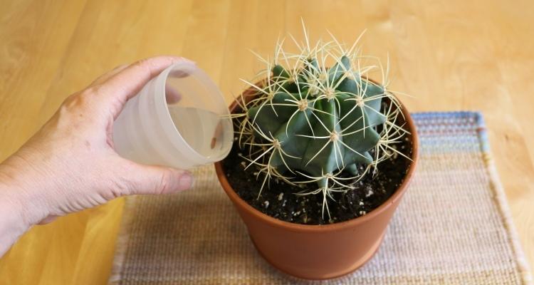 https://images.openai.com/static-rsc-4/G7gMCsDidR2cx93vz8CLbKMKVDet3ZXI7kR0rmEftjkMyIHATanZ6iF95TlBYf6-QmNk7OWhJ5r9gz_GLYWQOMWkAgQiUAARyYre2n_SLHX72ObqFG0vARGOPbNQy3uKEI0u4Yulao5UMC0xKL5r-zDOiN7lsjEALqkd5qAd5yHRslcKYq01uwNxqt_P279f?purpose=fullsize
