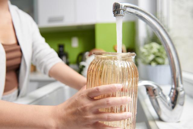 تمیز کردن ظرف شیشه‌ای قلمه برای جلوگیری از آلودگی