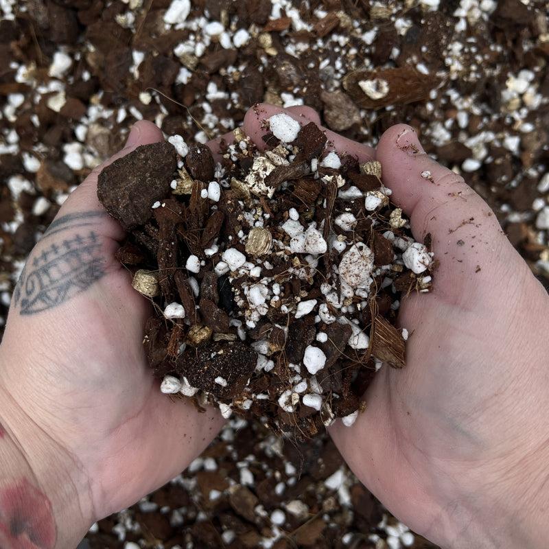 AJ's Ultimate Aroid Mix | Premium Growing Medium 4L