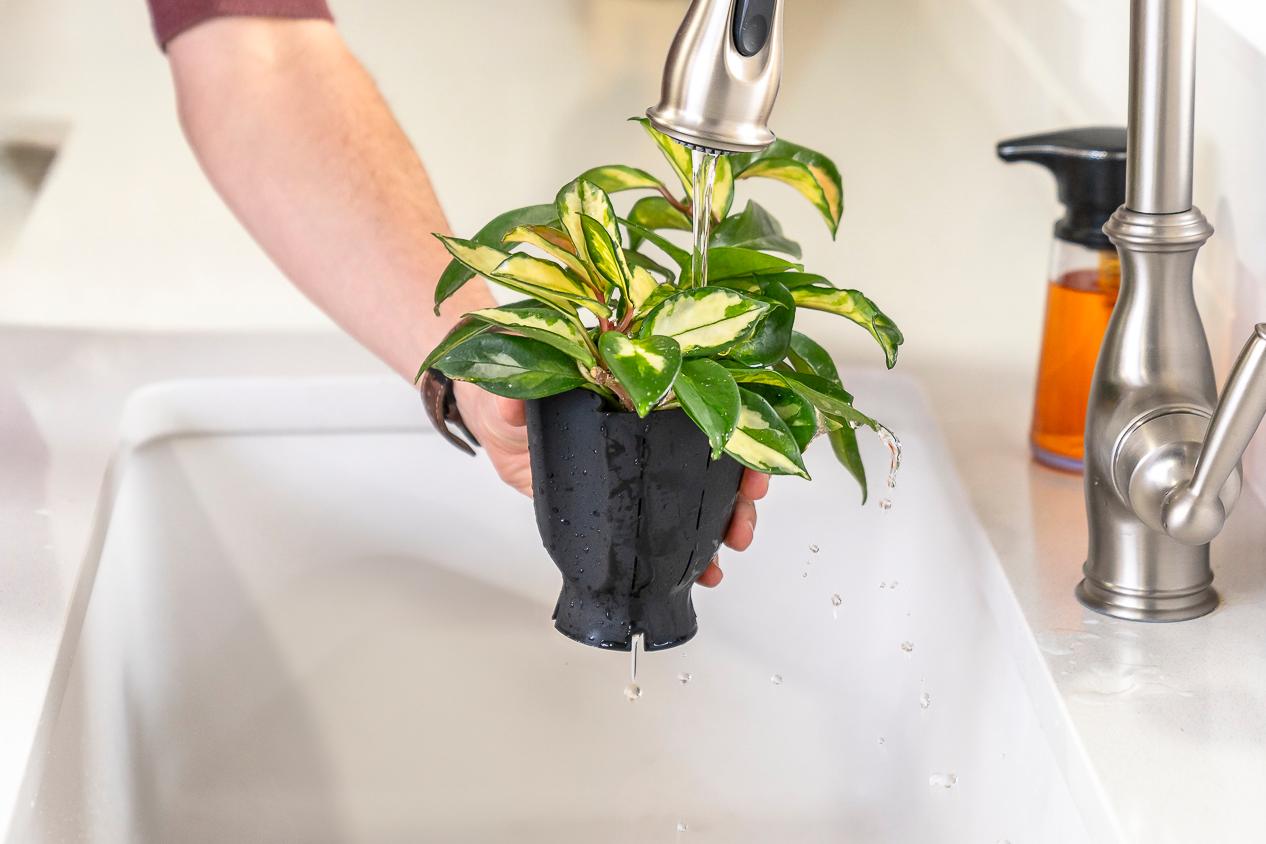 Ways To Water
– Happy Roots Supply Co.