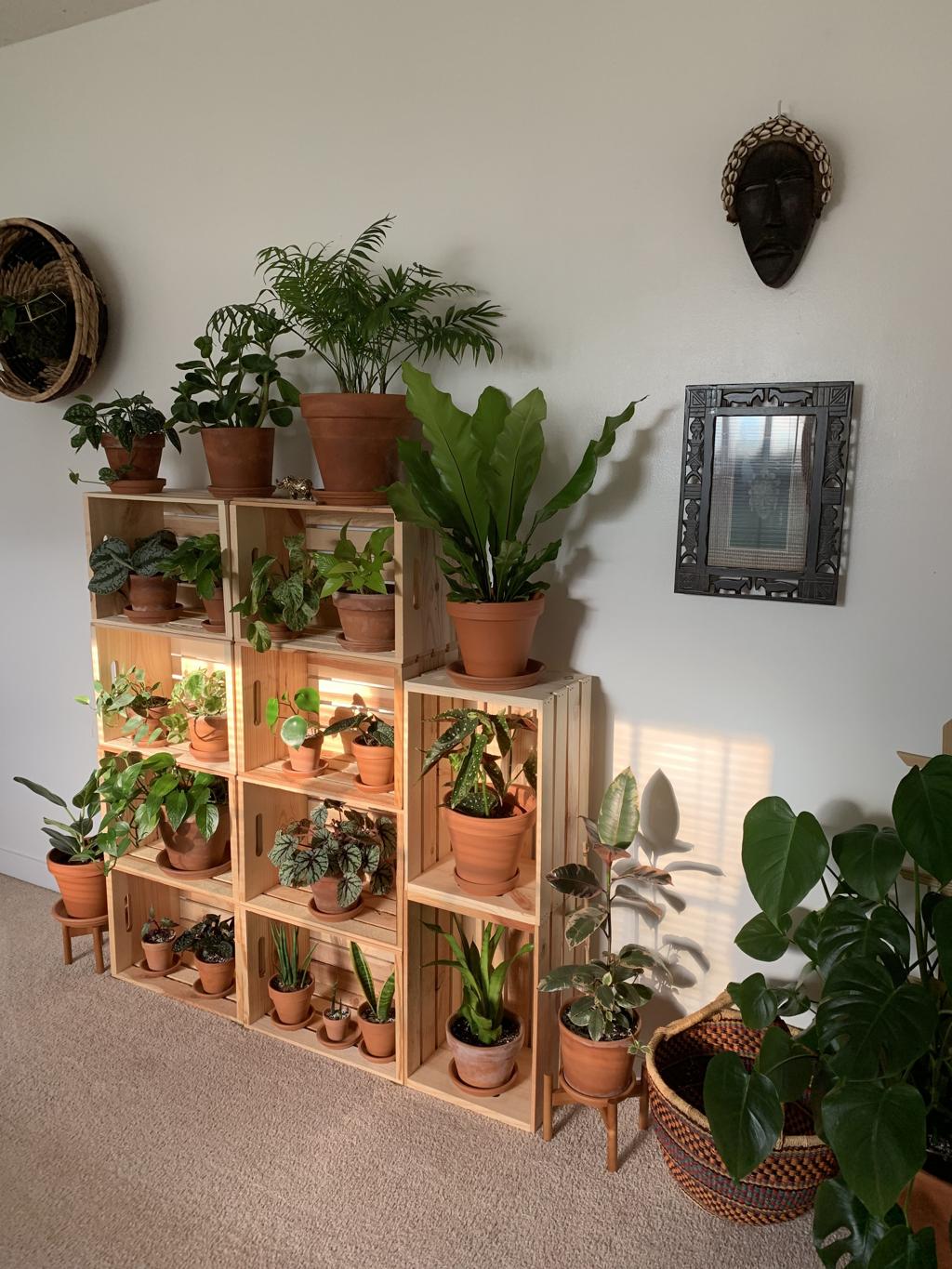 20+ Plant Shelf Decorating Ideas