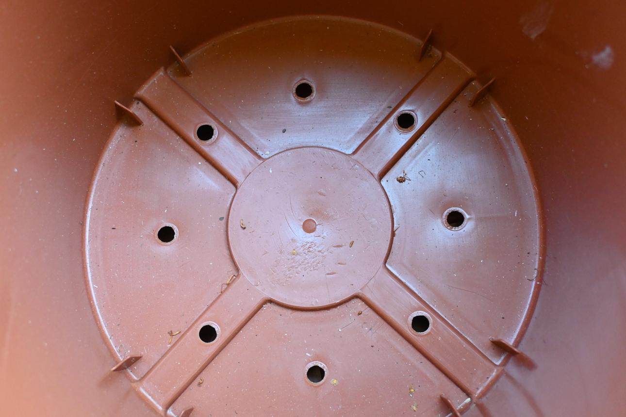 Plastic planter interior with drainage holes