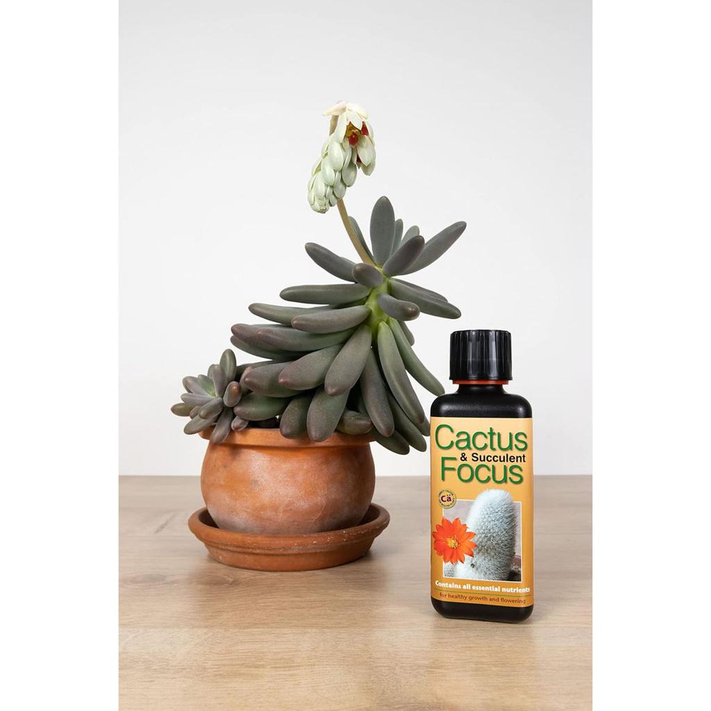 Growth Technology Cactus & Succulent Focus 300ml | from Aquacadabra