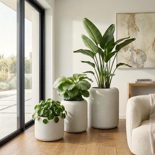 Blumenkasten für das Wohnzimmer mit Einsatz Ambiente H 60x48 cm creme – Forvega | Forvega.de