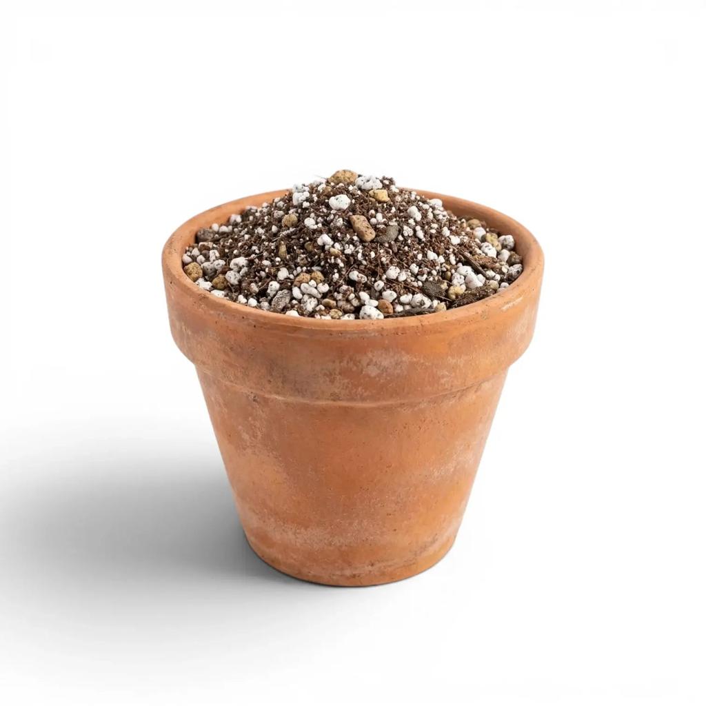 Cacti & Succulent Soil Mix – Fast-Draining Mineral Substrate