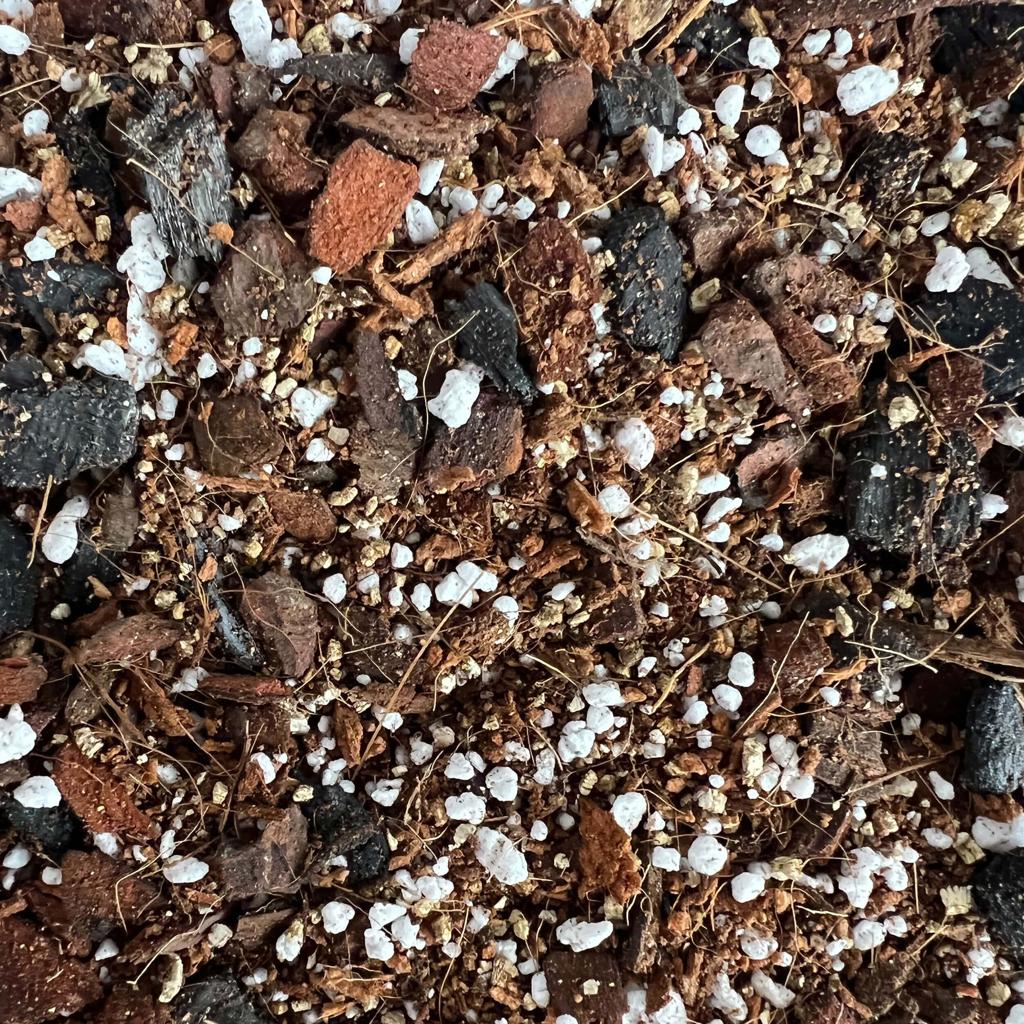 Philodendron/Aroid Imperial Potting Soil Mix– rePotme